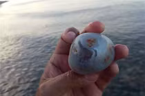 Vô tư nhặt đá đem về, không ngờ vớ bẫm... "kho báu cực khủng" 