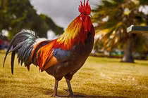 Cuộc sống khởi sắc, 3 con giáp hết khó hết khổ từ giữa tháng 3