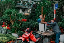 Không khí Tết tràn ngập tại các chợ hoa ở Hà Nội