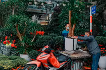 Không khí Tết tràn ngập tại các chợ hoa ở Hà Nội