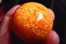 Ngư dân tìm thấy ngọc trai Melo quý hiếm nhờ được “báo mộng”