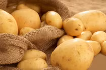 Kẻ thù của các vấn đề về dạ dày đã được tìm ra!