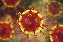 Nhà virus học Mỹ: “Vì sao Delta là biến thể đáng sợ, khủng khiếp nhất?” 