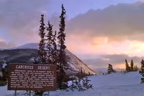 Sa mạc nhỏ nhất TG ẩn chứa bí mật 10.000 năm không giải 