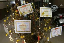 Hội học sinh trổ tài trang trí cây cảnh Tết dân tình xuýt xoa 