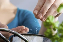 Để thứ này trên bàn ăn, bạn sẽ nhanh tử vong hơn