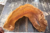 Quên bẵng thứ phơi khô, 38 năm sau lấy ra đắt giá hơn vàng 