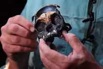 Kỳ diệu hồi sinh “loài người ma” bí ẩn có hộp sọ tí hon