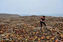 Ngọc Trường Giang quý hiếm sao dân Trung Quốc đổ xô săn lùng? 