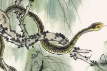 Tuổi Tỵ sinh giờ nào là "con rắn vàng lớn”, Thần Tài bám gót cả đời? 