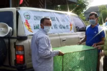 Trăn đất bỗng dưng “lạc trôi” trên biển Hà Tĩnh: Quý hiếm thế nào? 