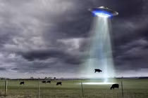 Nghi vấn vũ khí người ngoài hành tinh dùng tấn công động vật? 