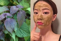 Nấu nước lá này rồi vắt nửa quả chanh, da mặt bay sạch nám 