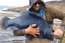 Câu được "quái vật" khủng răng nhọn, cần thủ thả ngay khi biết lai lịch