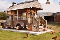 Cuộc sống xa hoa của những chú gà vàng trong làng... đầu thai