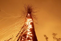 Rùng mình hình ảnh Trái đất bị hủy hoại vì biến đổi khí hậu 