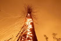 Rùng mình hình ảnh Trái đất bị hủy hoại vì biến đổi khí hậu 