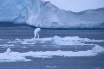 Bí ẩn không lời giải quái vật khổng lồ hình người ở Nam Cực 