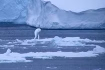 Bí ẩn không lời giải quái vật khổng lồ hình người ở Nam Cực 