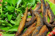 Loại cá “bổ tựa nhân sâm” phụ nữ ăn vào đẹp da, chống lão hóa