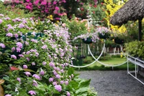 Bị vợ bỏ vì ngoại tình, tôi căm hận tột cùng khi nhìn bụng cô ấy