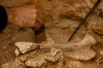 Top khám phá khảo cổ ấn tượng nhất 2021: 1 có thể thay đổi TG 