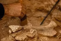 Top khám phá khảo cổ ấn tượng nhất 2021: 1 có thể thay đổi TG 