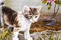 Nhâm Dần 2022: 3 con giáp khổ tận cam lai, giàu lên khủng khiếp 