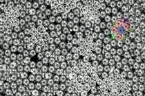 Bất ngờ vật chất sinh ra từ vụ thử bom hạt nhân: Thứ lạ lùng! 