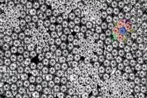 Bất ngờ vật chất sinh ra từ vụ thử bom hạt nhân: Thứ lạ lùng! 