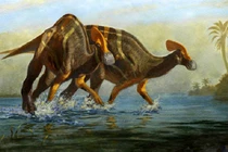 Sửng sốt phát hiện loài khủng long biết nói, "siêng" giao tiếp ở Mexico 