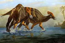 Sửng sốt phát hiện loài khủng long biết nói, "siêng" giao tiếp ở Mexico 