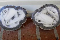 Sướng rơn nhặt được "báu vật", ai ngờ chuyên gia nói câu... hụt hẫng 