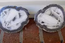 Sướng rơn nhặt được "báu vật", ai ngờ chuyên gia nói câu... hụt hẫng 