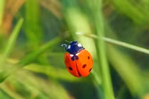 Cả đời sống tử tế, người sinh ngày Âm lịch này mỉm cười đón vận may