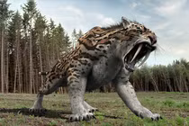 Giật mình loài người 2 triệu tuổi là ác mộng của mãnh thú cổ đại 