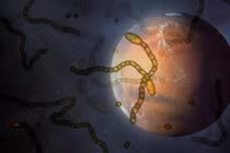 Người ngoài hành tinh đang sống trên Trái đất, có cả bằng chứng?