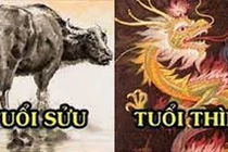 Tuần mới 28/3-3/4/2022 của 12 con giáp: Sửu may ít rủi nhiều, Thìn tăng thu nhập