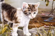 Hết hẳn nghèo, 3 con giáp tài khoản nảy số liên tục 7 ngày tới