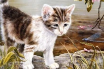 Hết hẳn nghèo, 3 con giáp tài khoản nảy số liên tục 7 ngày tới