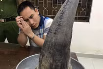 Bắt đối tượng vận chuyển sừng tê giác hơn 4 tỷ ở sân bay 