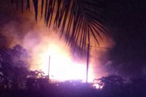 Nhiều bò, lợn bị quay chín trong vụ cháy nổ ở Sài Gòn