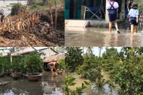 Ảnh: Nông dân Sài Gòn bất ngờ mất tiền tỷ vì vỡ đê bao