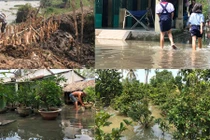 Ảnh: Nông dân Sài Gòn bất ngờ mất tiền tỷ vì vỡ đê bao