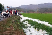 Hình minh hoạ. Ảnh: Internet