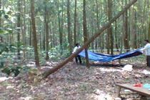 Nghi án giết học sinh, dựng hiện trường giả trong rừng