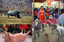 Nhức nhối trò mua vui đẫm máu với vật nuôi