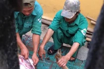 Dậy sóng nhân viên vườn thú giết nai tại công viên 29/3