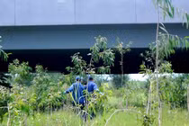 Phát hiện xác người chết khô dưới gầm cầu TP HCM