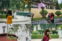 Giới trẻ Hà Thành đắm chìm trong mùa hoa của núi rừng